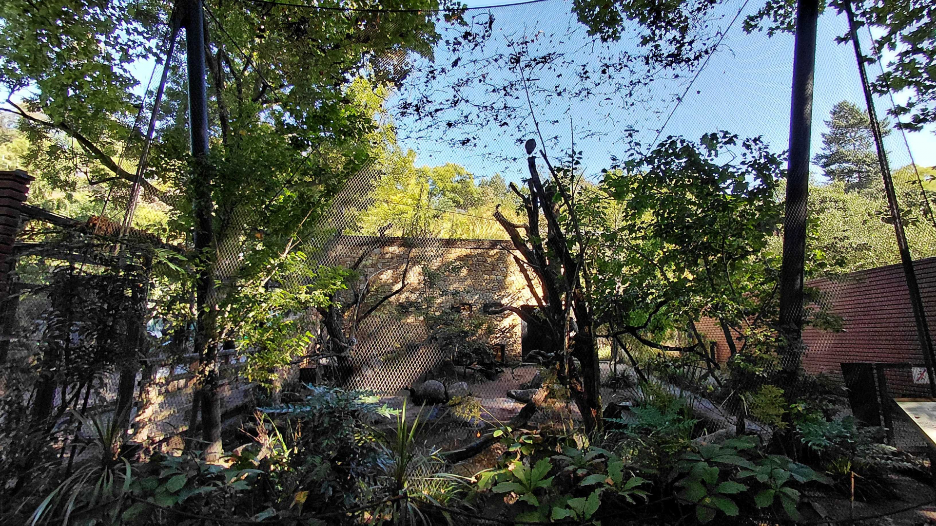 Darwin's crater - walkthrough aviary