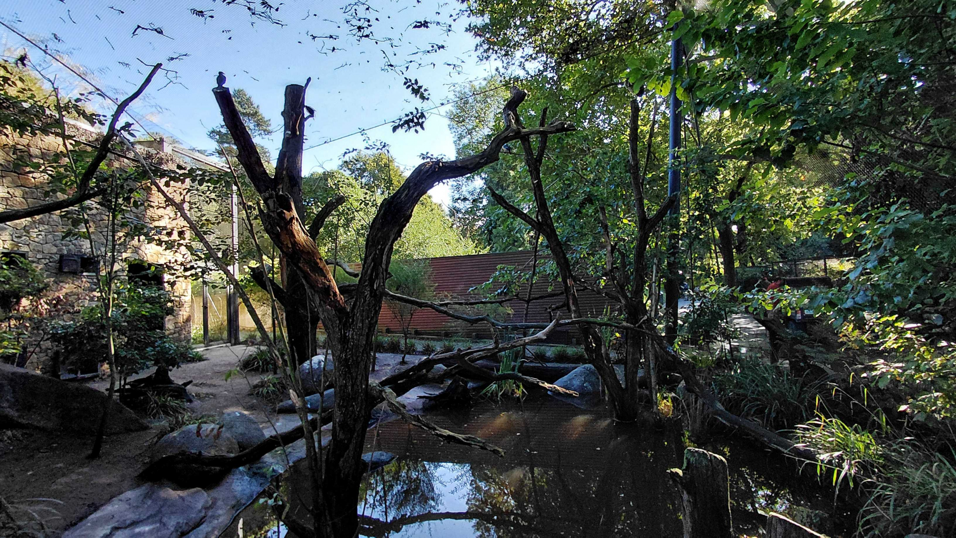 Darwin's crater - walkthrough aviary