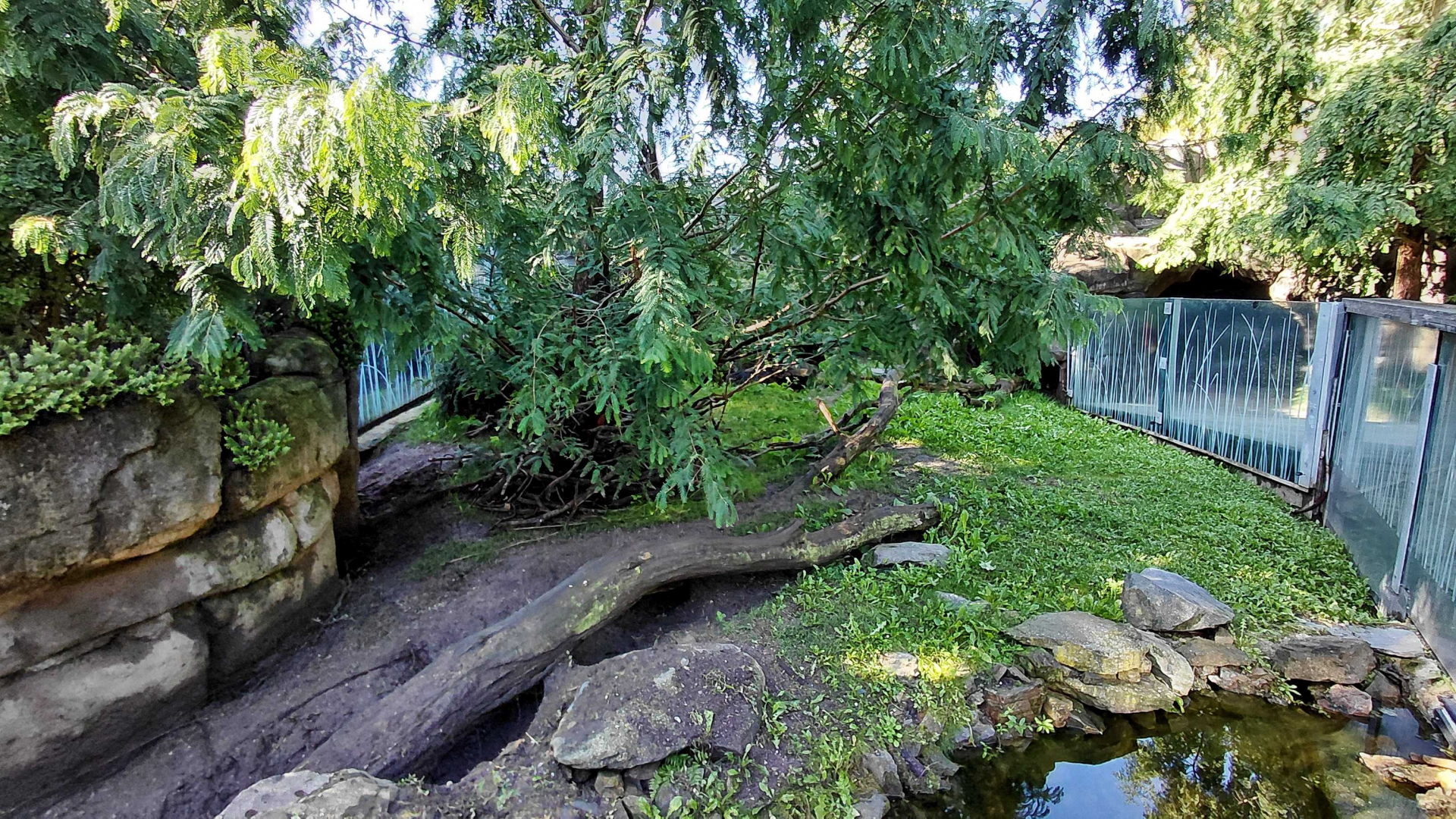 Darwin's crater - Wombat outdoor exhibit