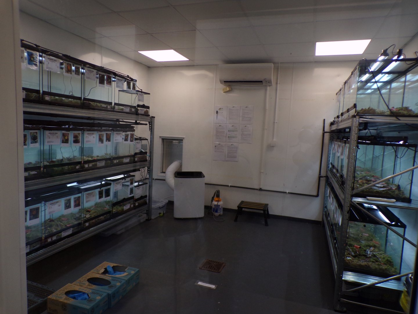 Darwin’s frog breeding room 11.2.25