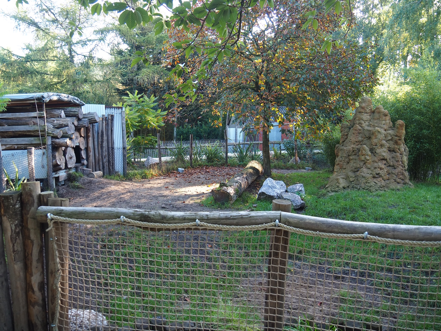 Darwin's rhea and Giant anteater exhibit, 2022-10-09