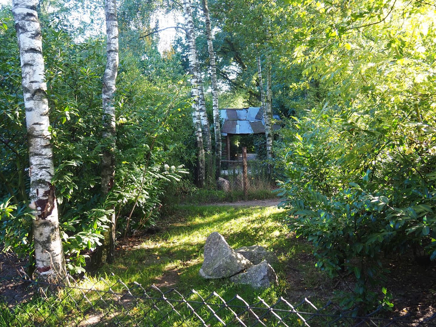 Darwin's rhea and Giant anteater exhibit, 2022-10-09