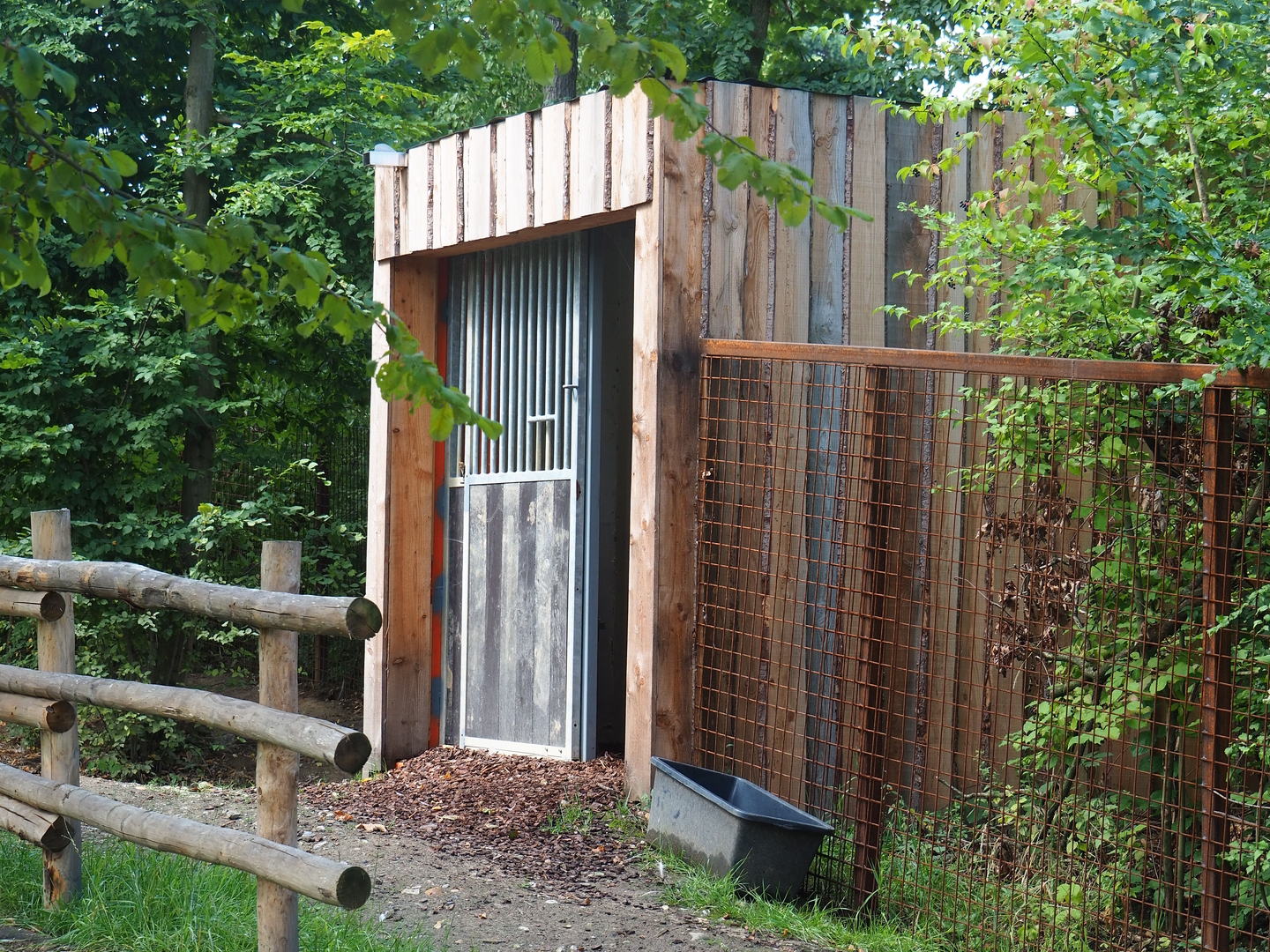 Darwin's rhea barn, 2022-08-20