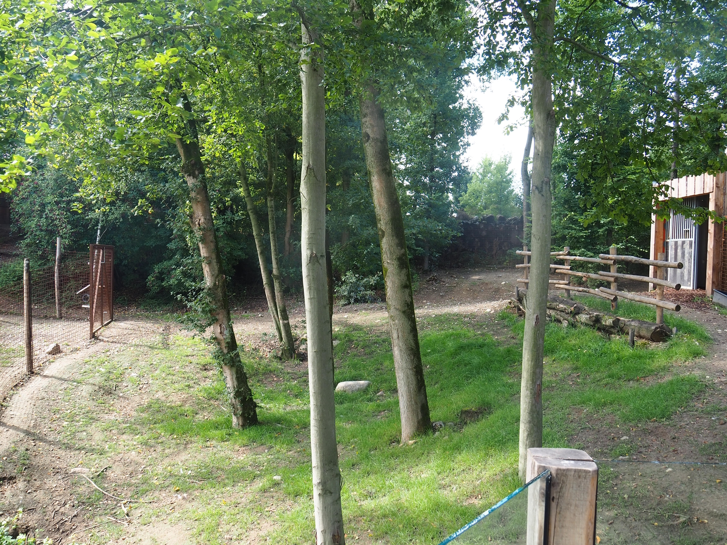 Darwin's rhea barn and separation paddock, 2022-08-20