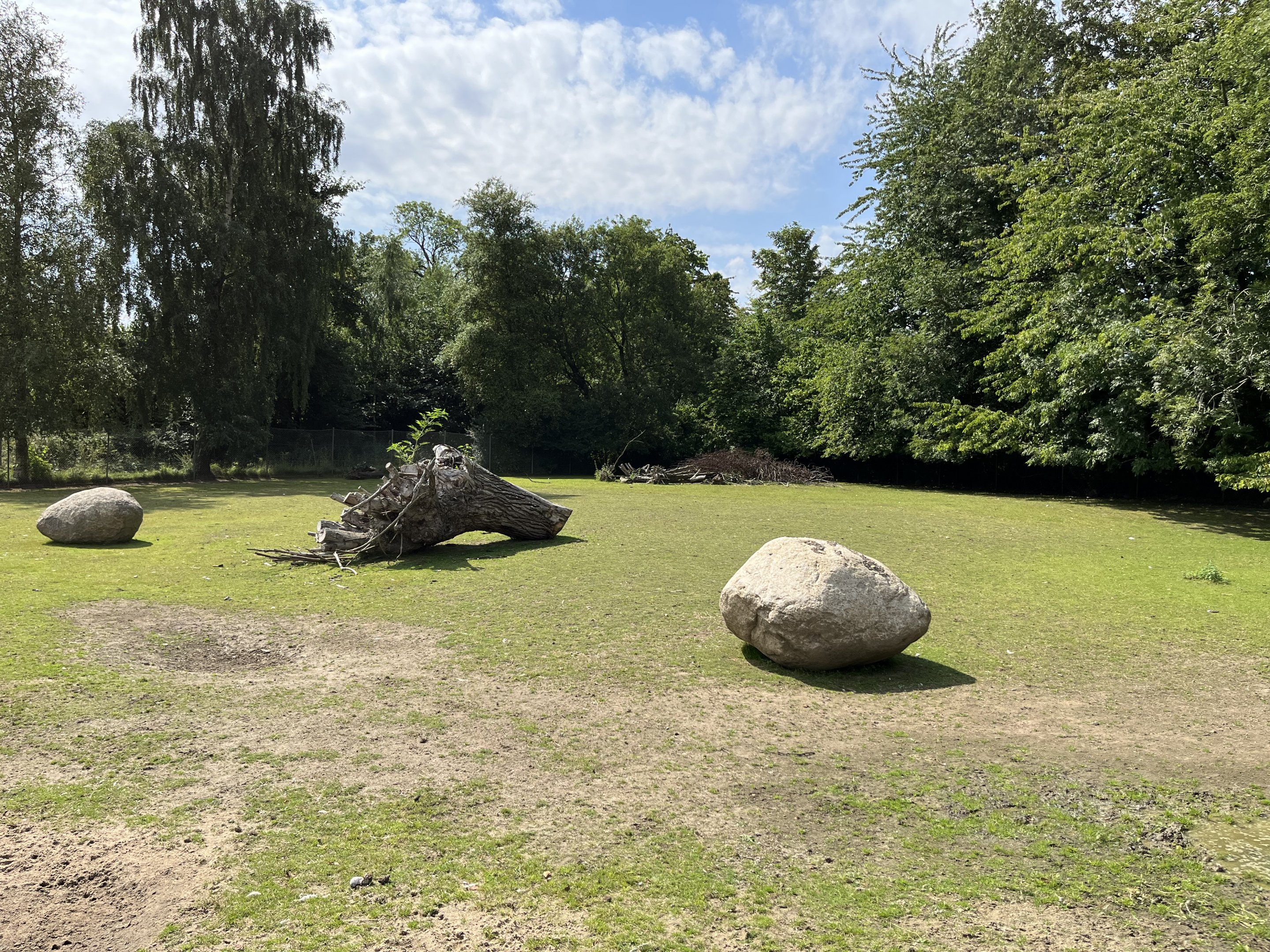 Darwin’s Rhea/Capybara Exhibit