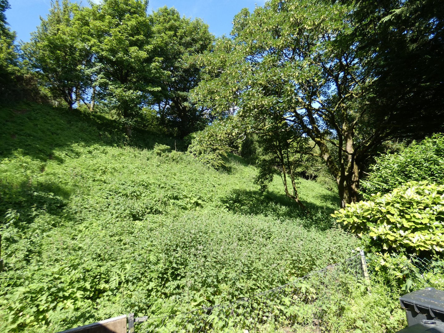 Darwin's rhea enclosure