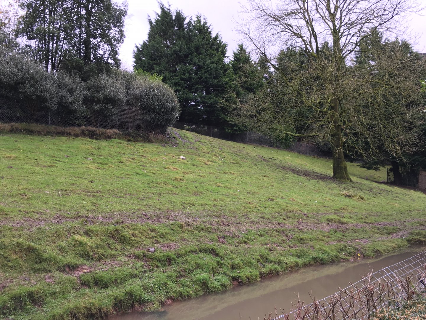 Darwin's Rhea exhibit