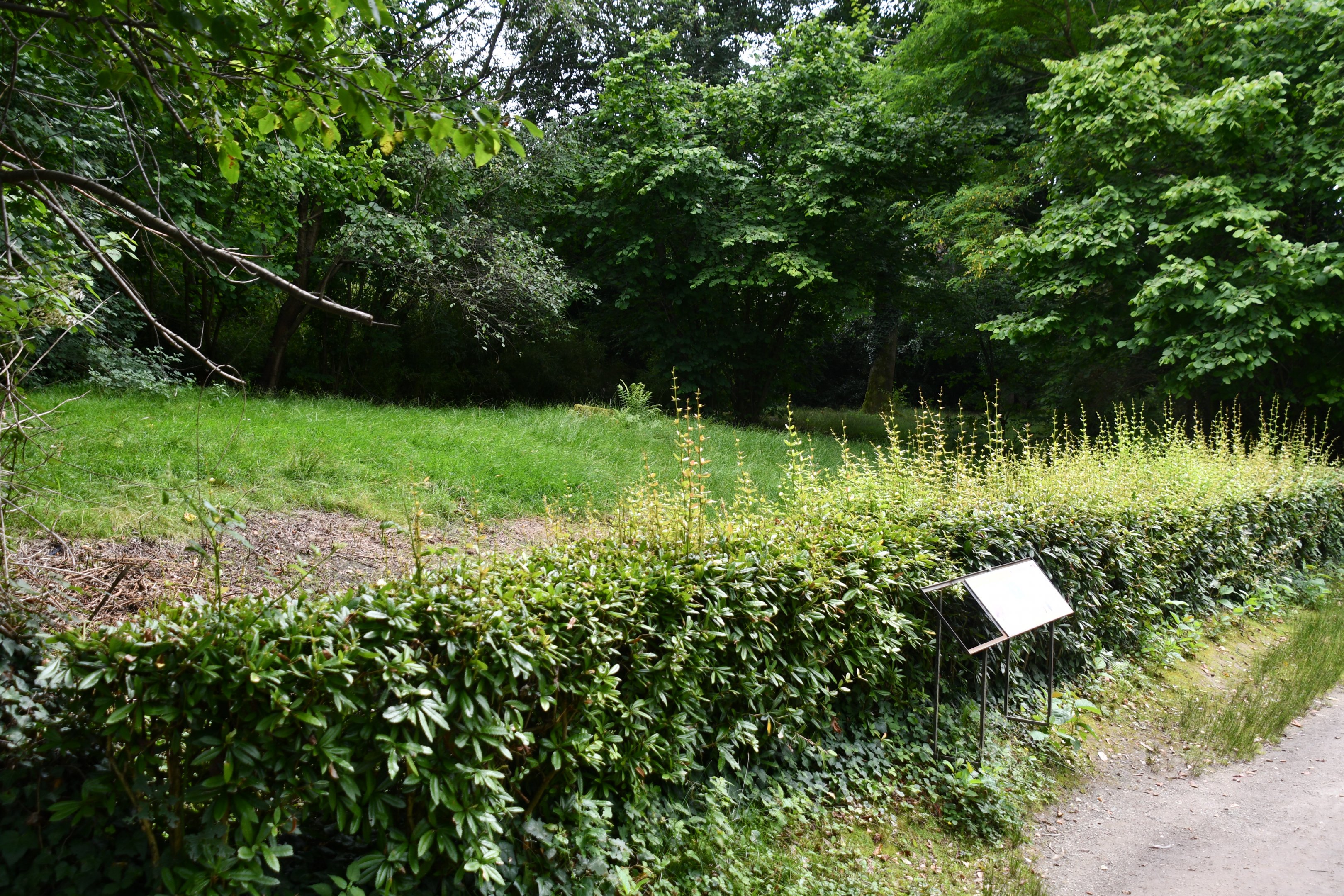 Darwin's Rhea exhibit