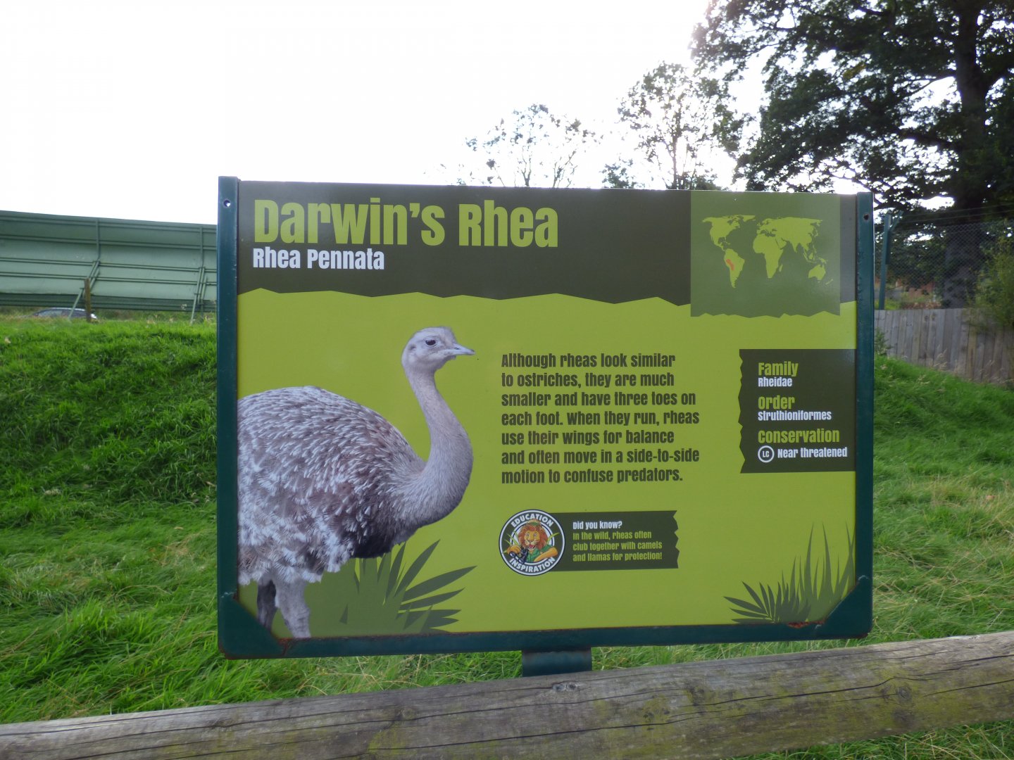 Darwin's Rhea Signage