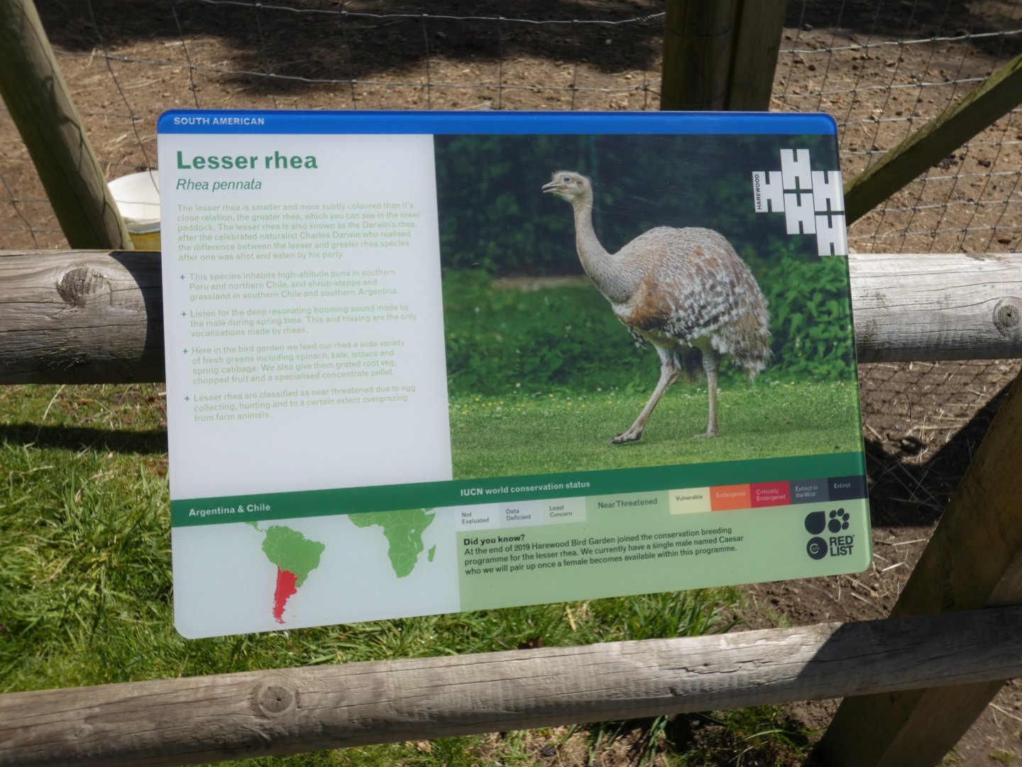 Darwin's rhea signage