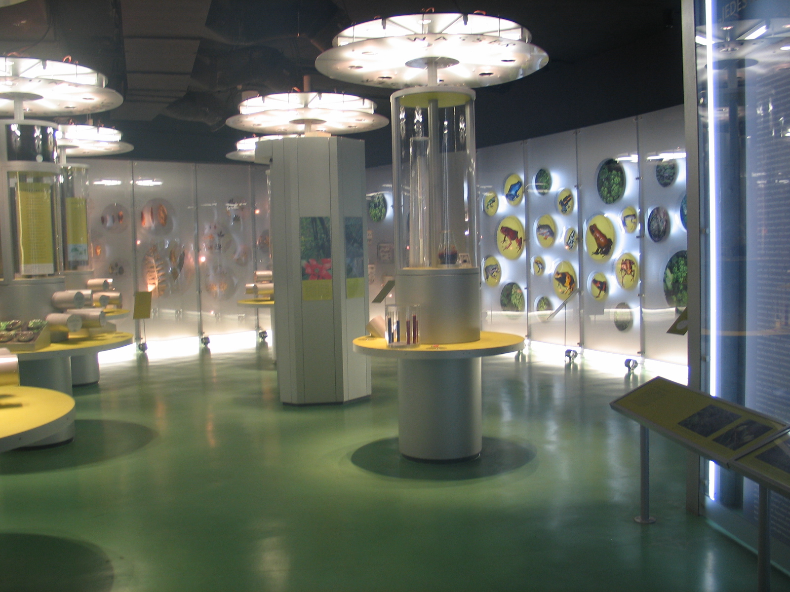 Das Regenwaldhaus (The Rainforest House)