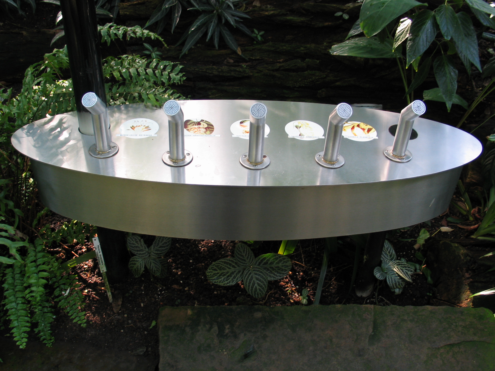 Das Regenwaldhaus (The Rainforest House)