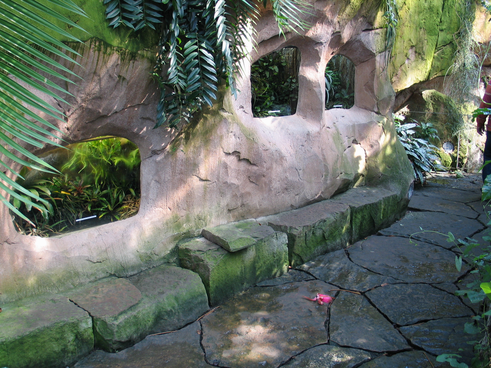 Das Regenwaldhaus (The Rainforest House)