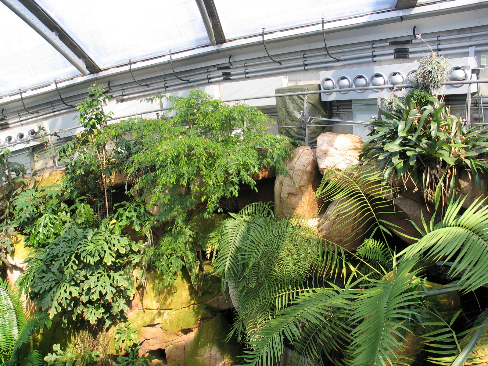 Das Regenwaldhaus (The Rainforest House)
