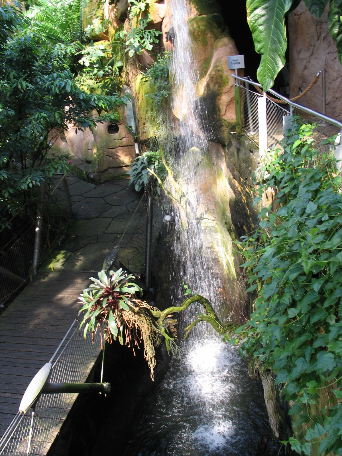 Das Regenwaldhaus (The Rainforest House)