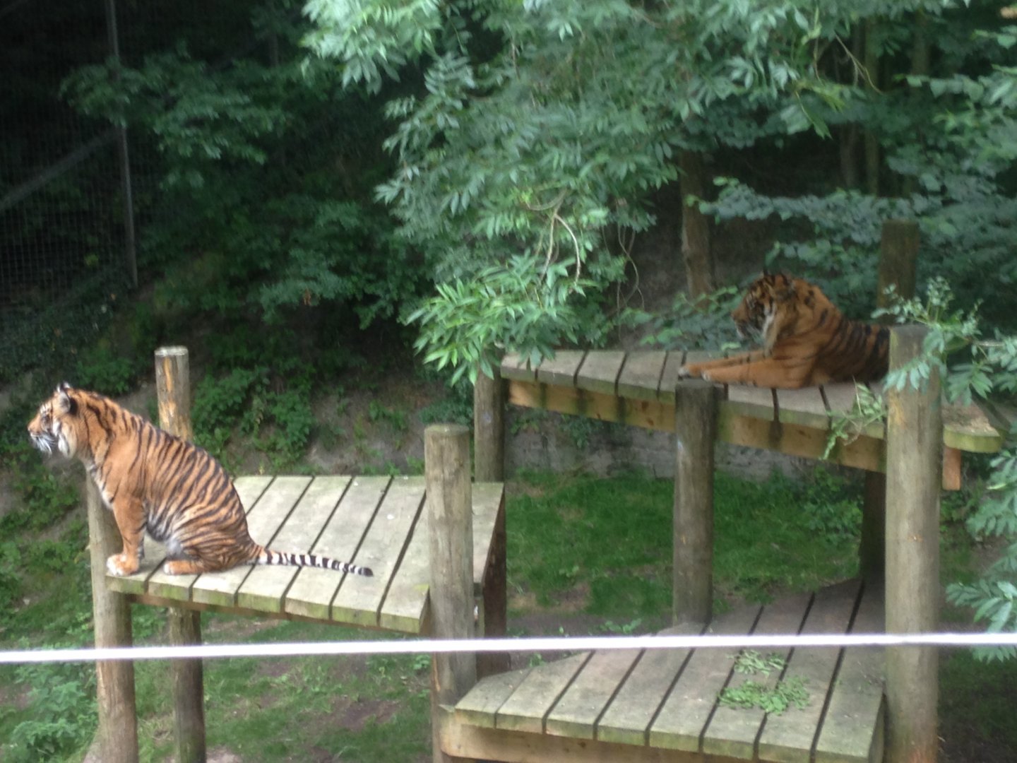 Daseep and Joao, 9th July 2019