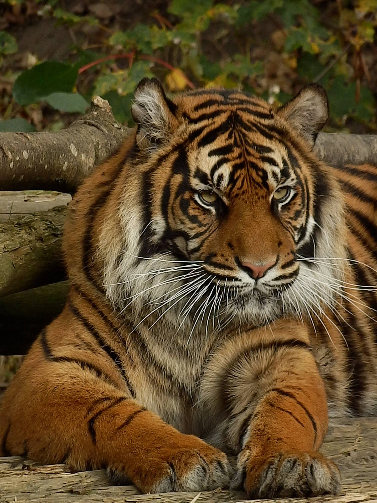 Daseep posing 2-11-13