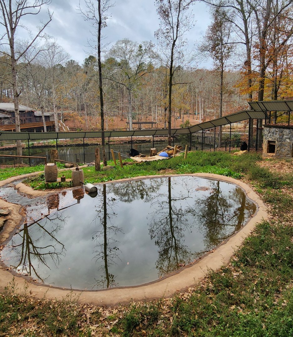 Dauset Trails - Bear enclosure