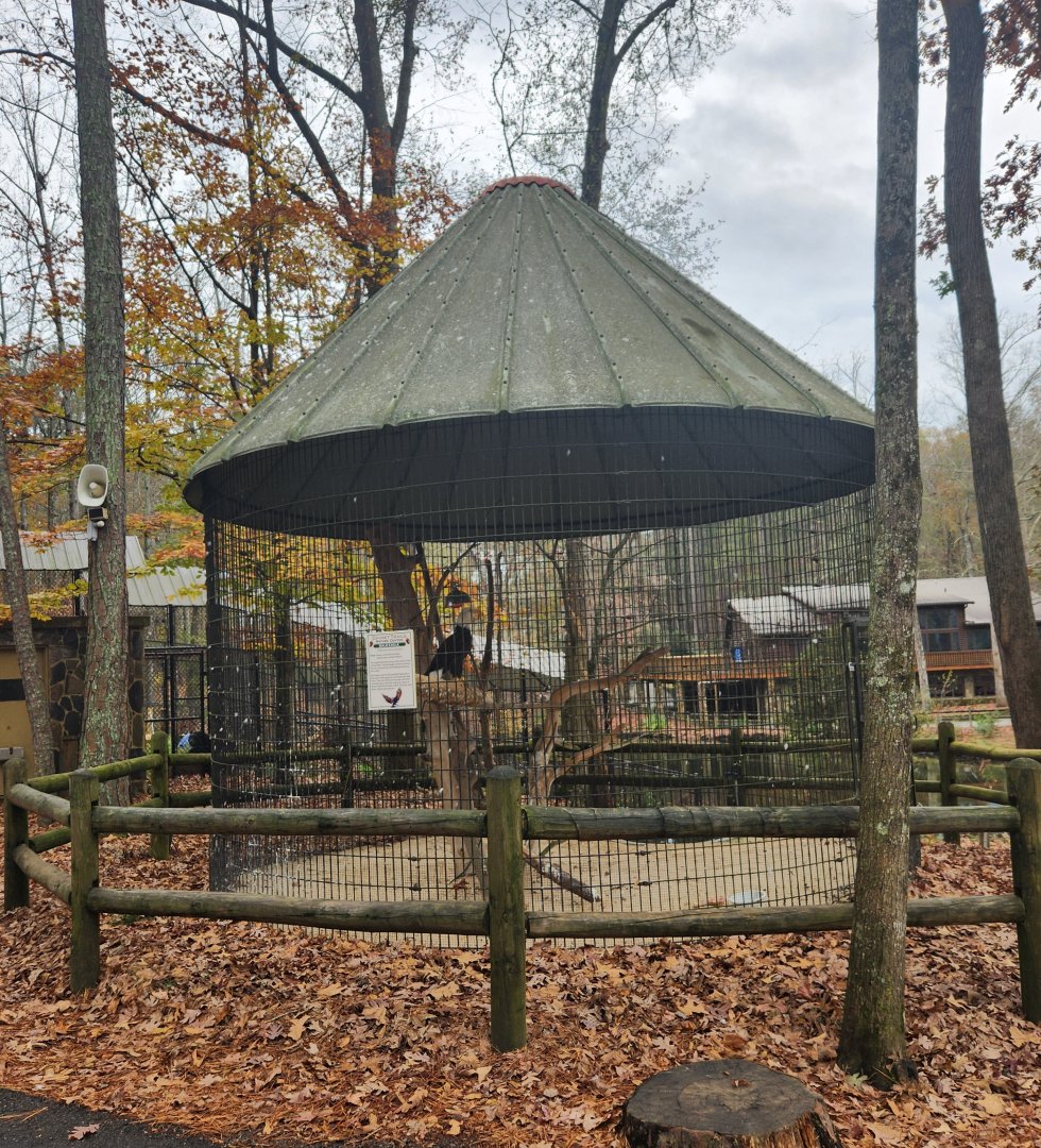 Dauset Trails - Bird of prey cage type