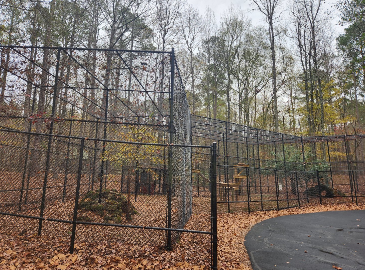 Dauset Trails - Bobcat enclosure