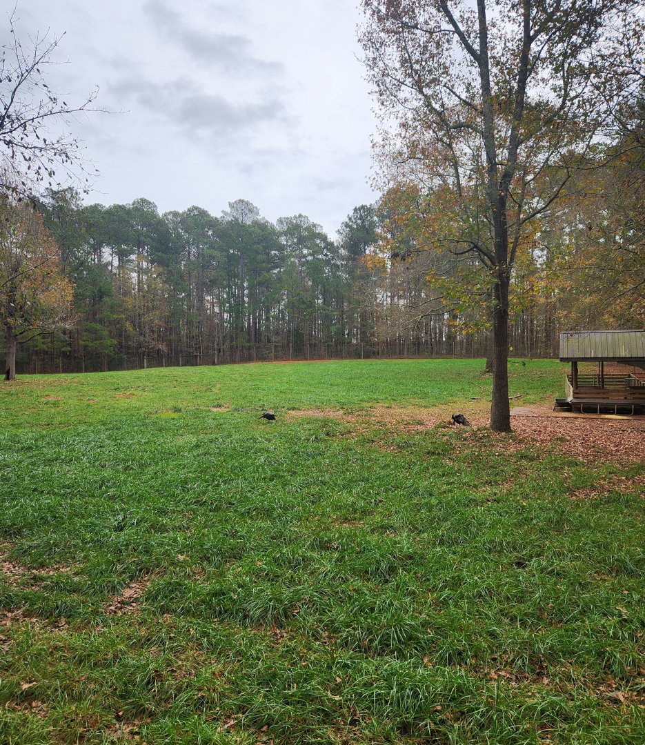 Dauset Trails - Hoofstock/turkey yard