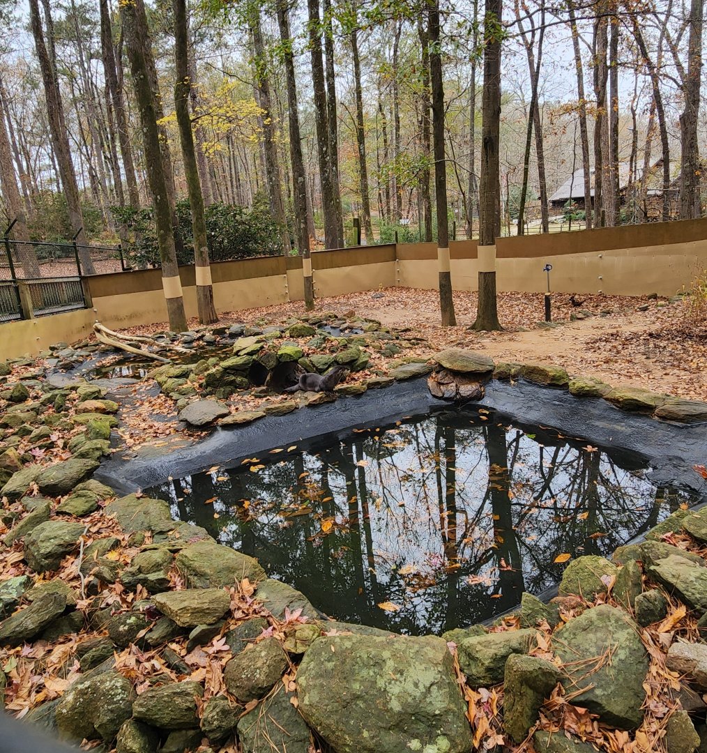 Dauset Trails - River otter enclosure