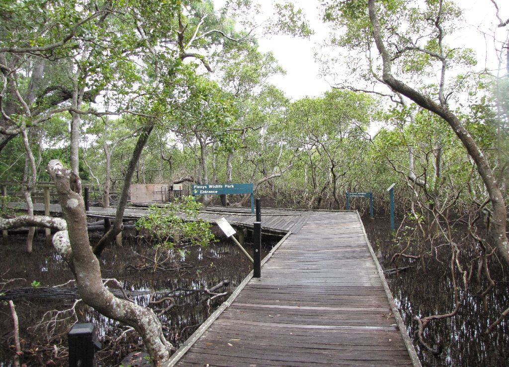 David Fleays - Feb 2009