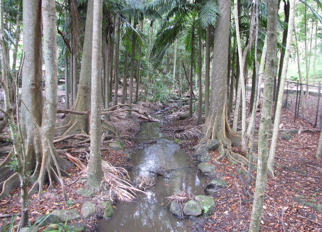 David Fleays - Feb 2009