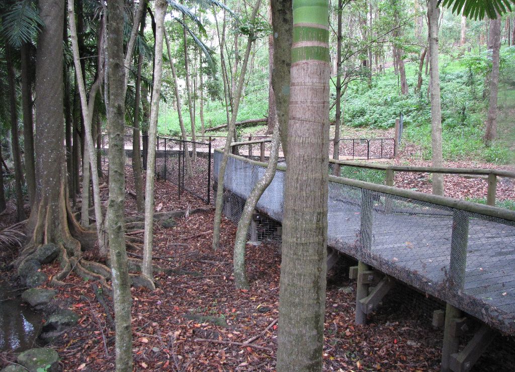 David Fleays - Feb 2009