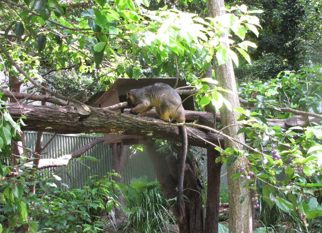 David Fleays - Feb 2009