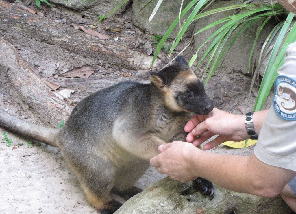 David Fleays - Feb 2009