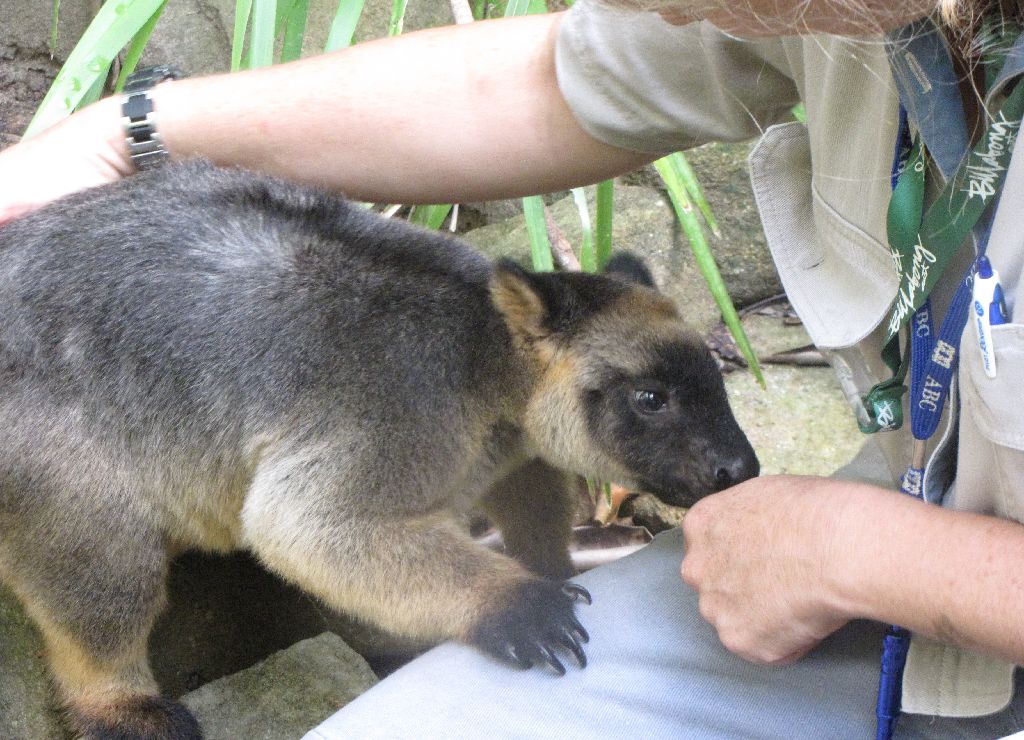 David Fleays - Feb 2009