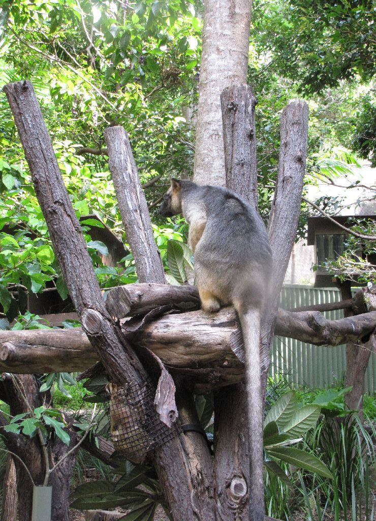 David Fleays - Feb 2009