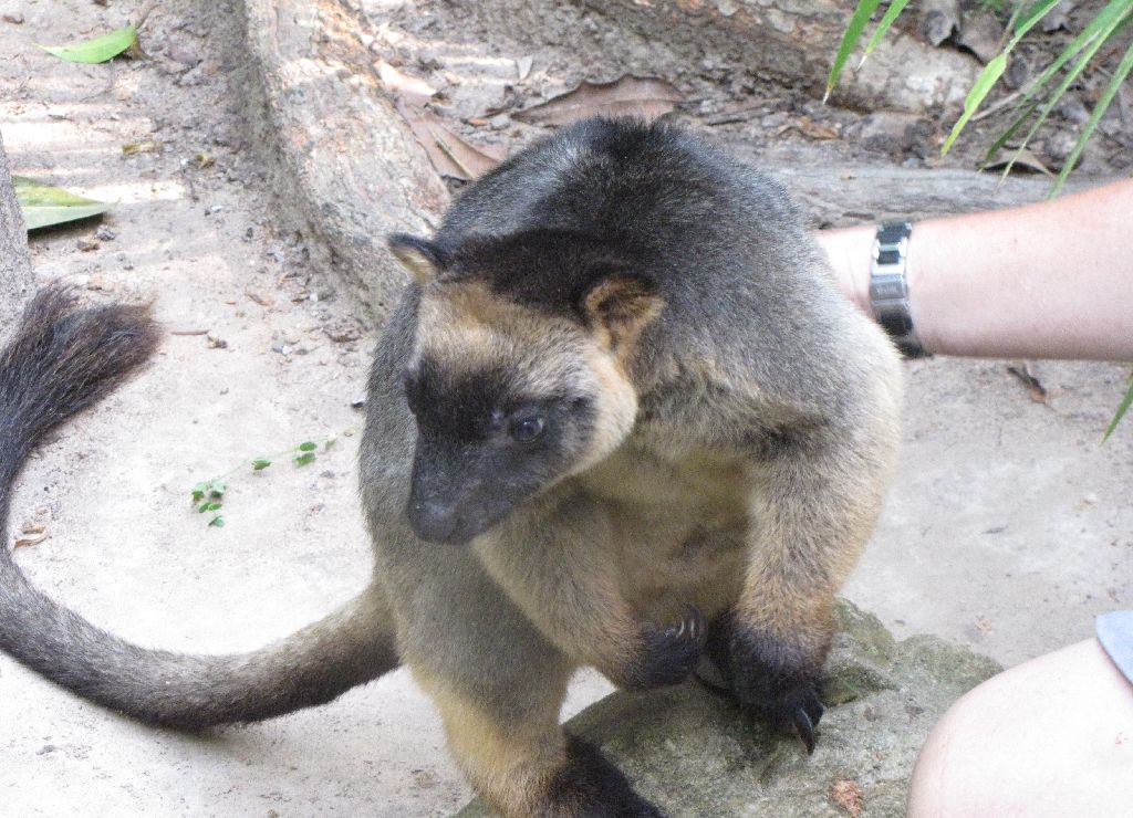 David Fleays - Feb 2009