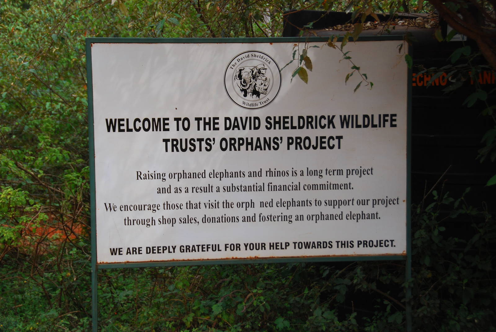 David Sheldrick Wildlife Trust Elephant Orphanage