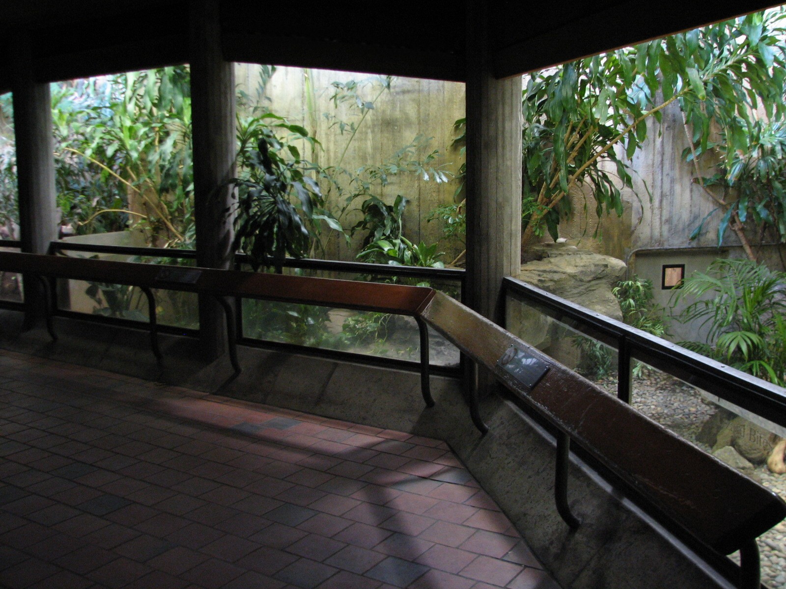 Day and Night - Caiman Exhibit