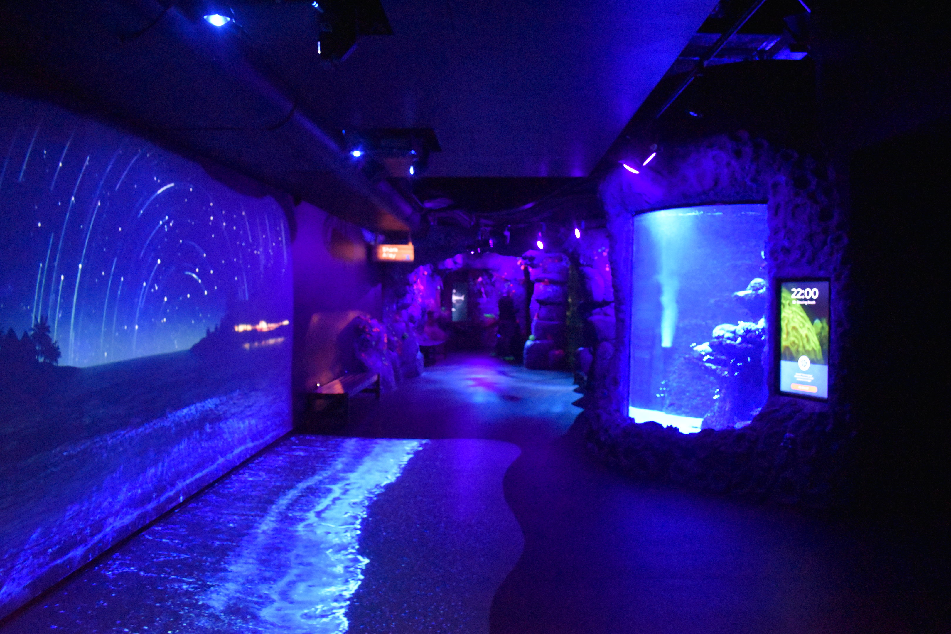 Day and Night on the Reef display