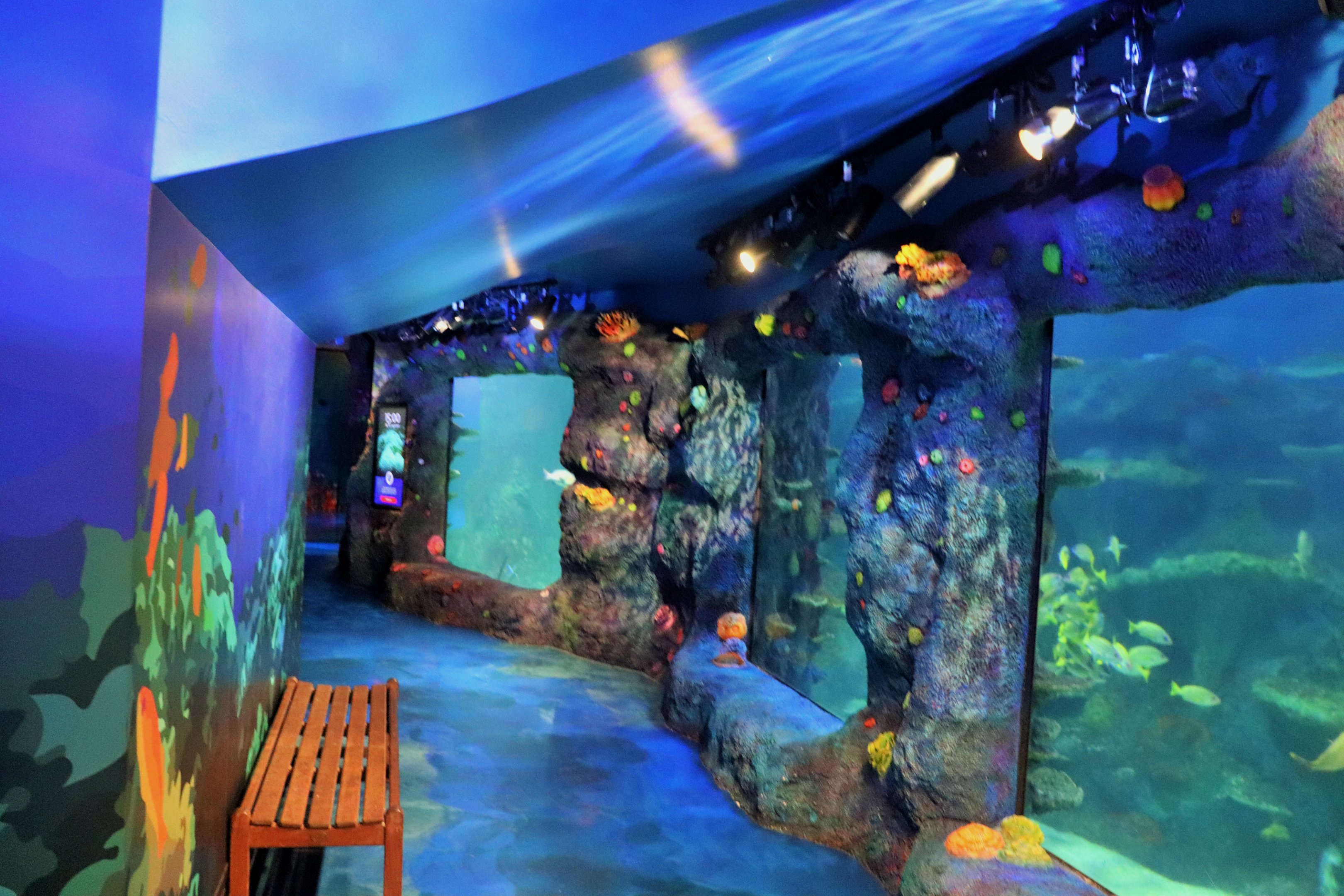 Day and Night on the Reef Exhibit