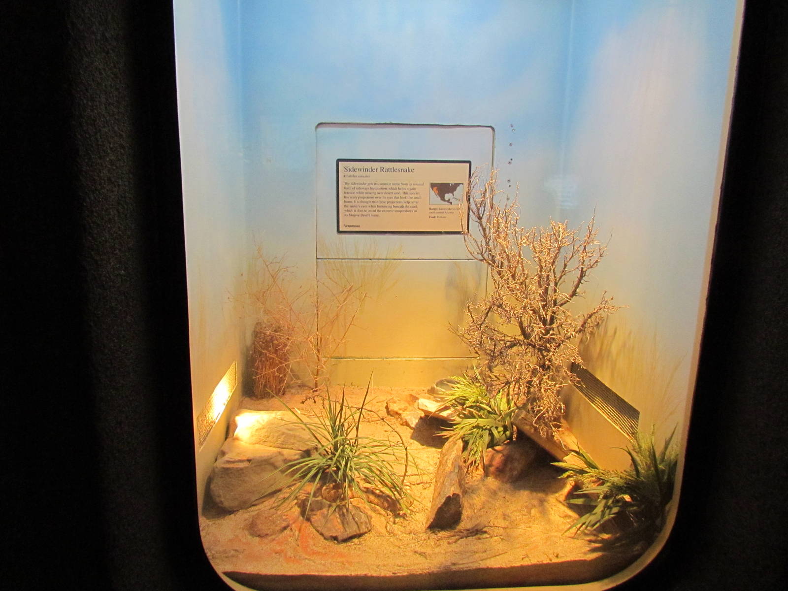 Day Exhibit - Sidewinder Exhibit