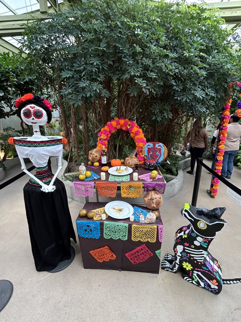 Day of Dead altar at the Butterfly House