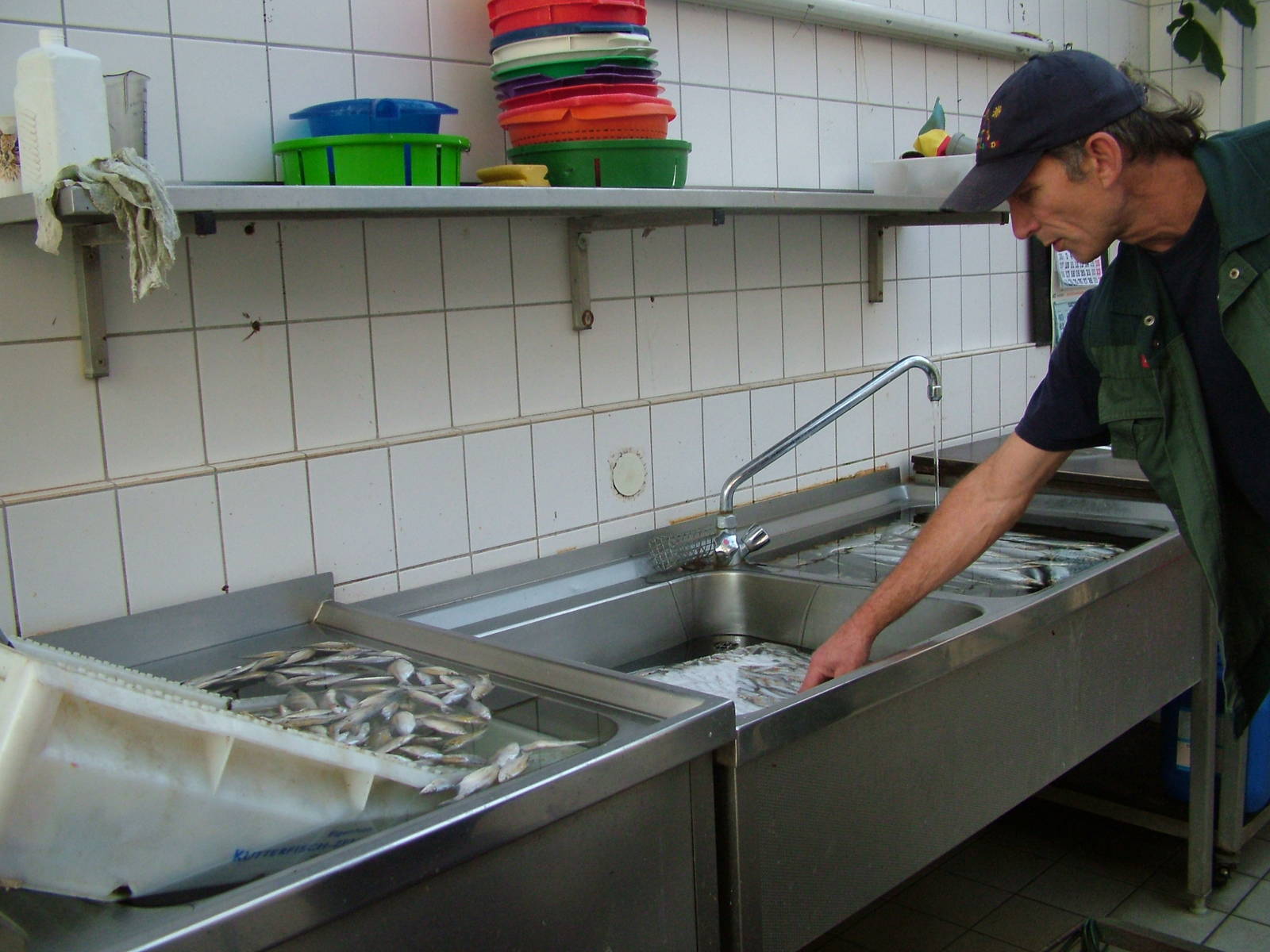 Days supply of fish at Walsrode 2007