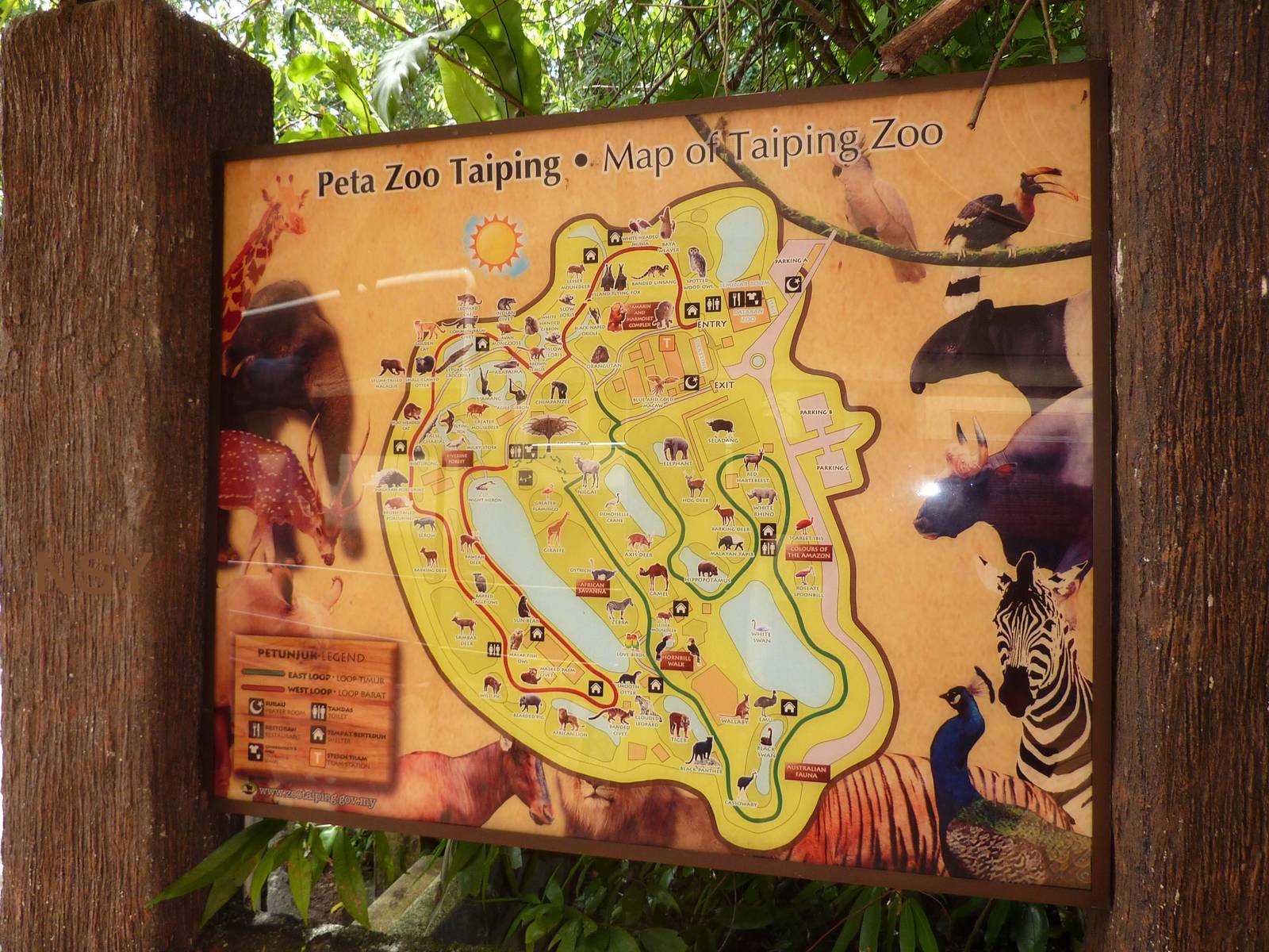Daytime map of the zoo, May 2013
