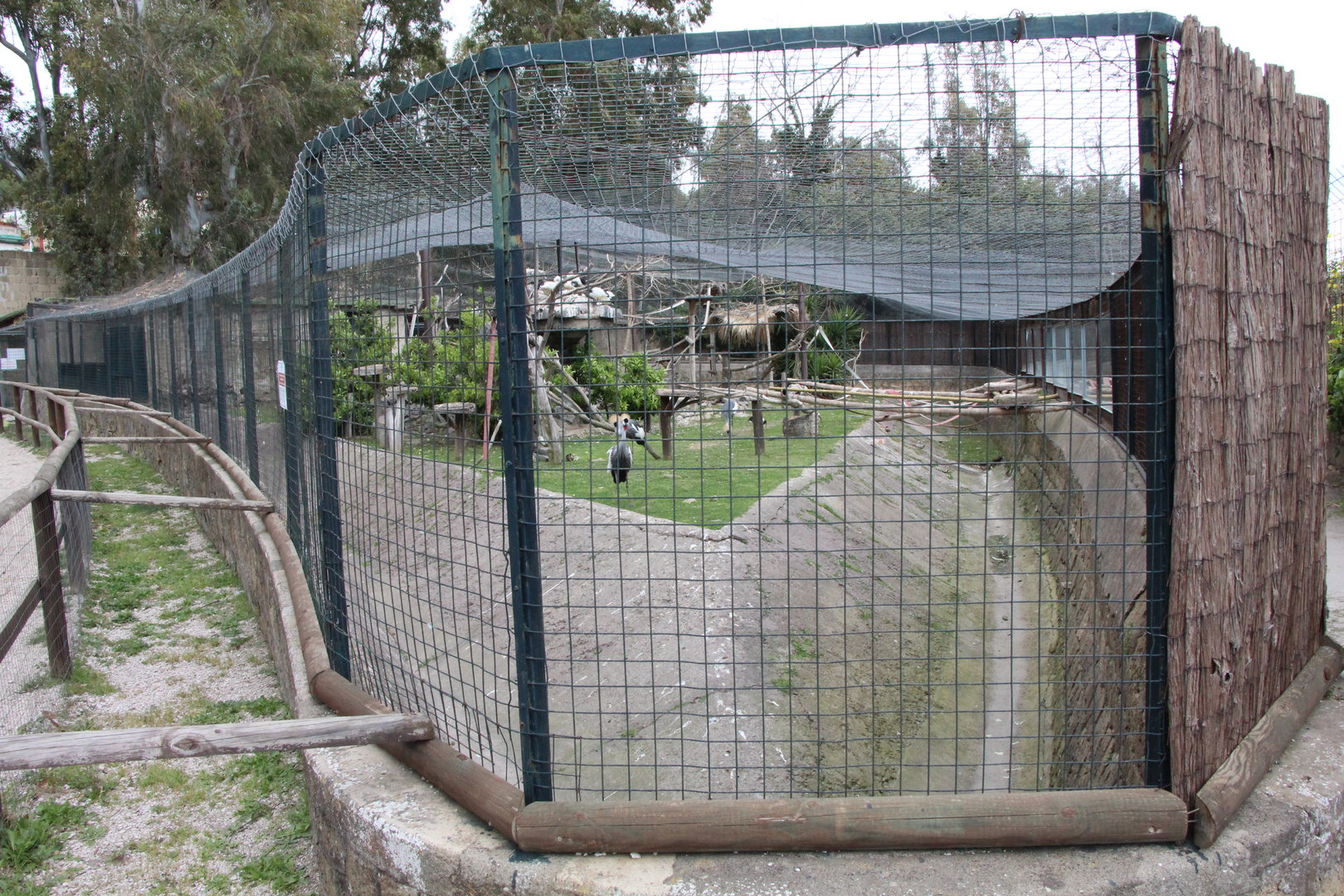 De Brazza Monkey & Crane Enclosure