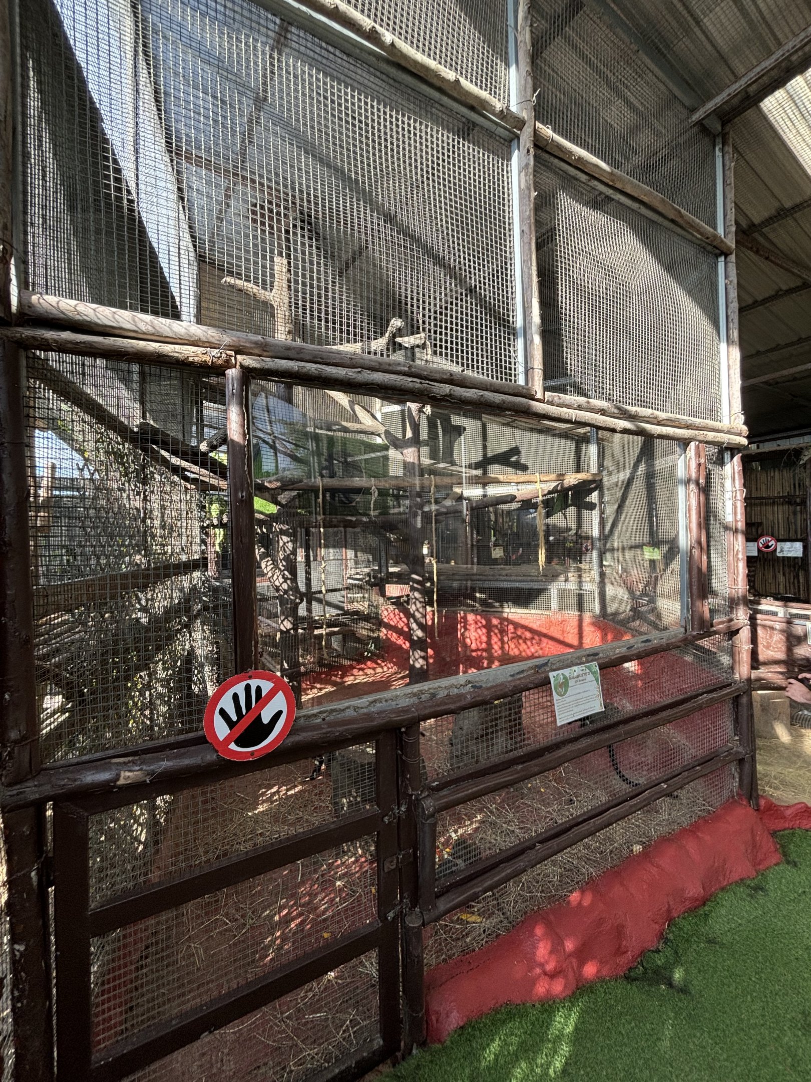 De Brazza Monkey Exhibit