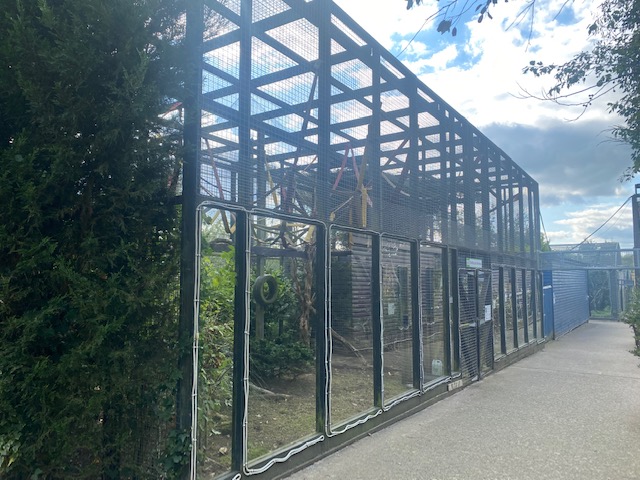 De Brazzas monkey enclosure 200922