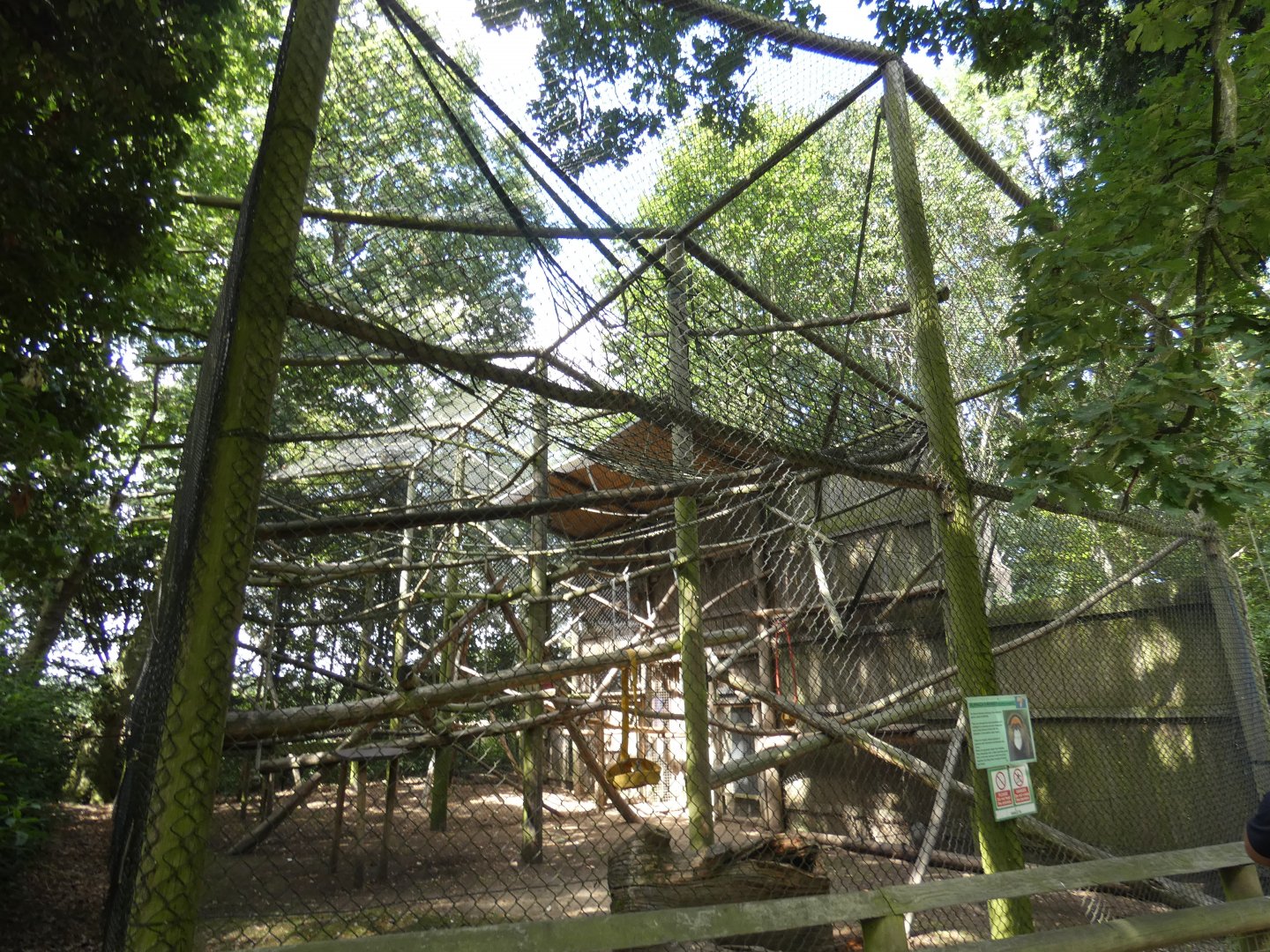 De Brazza's Monkey enclosure