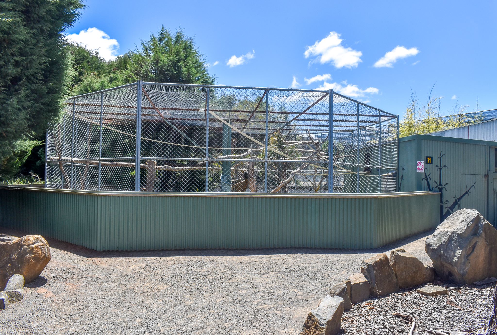 De Brazza's Monkey enclosure