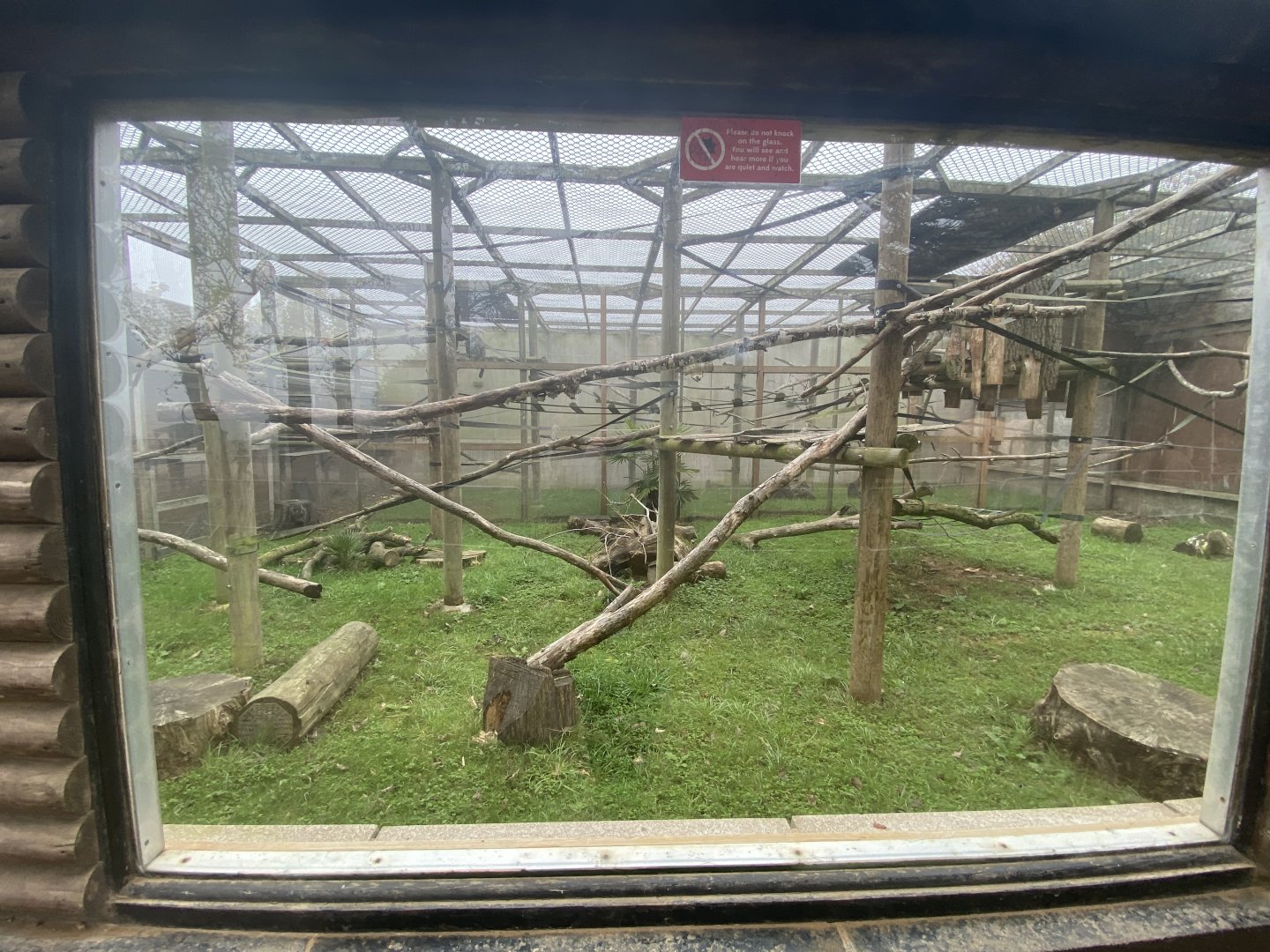 De Brazza’s monkey enclosure