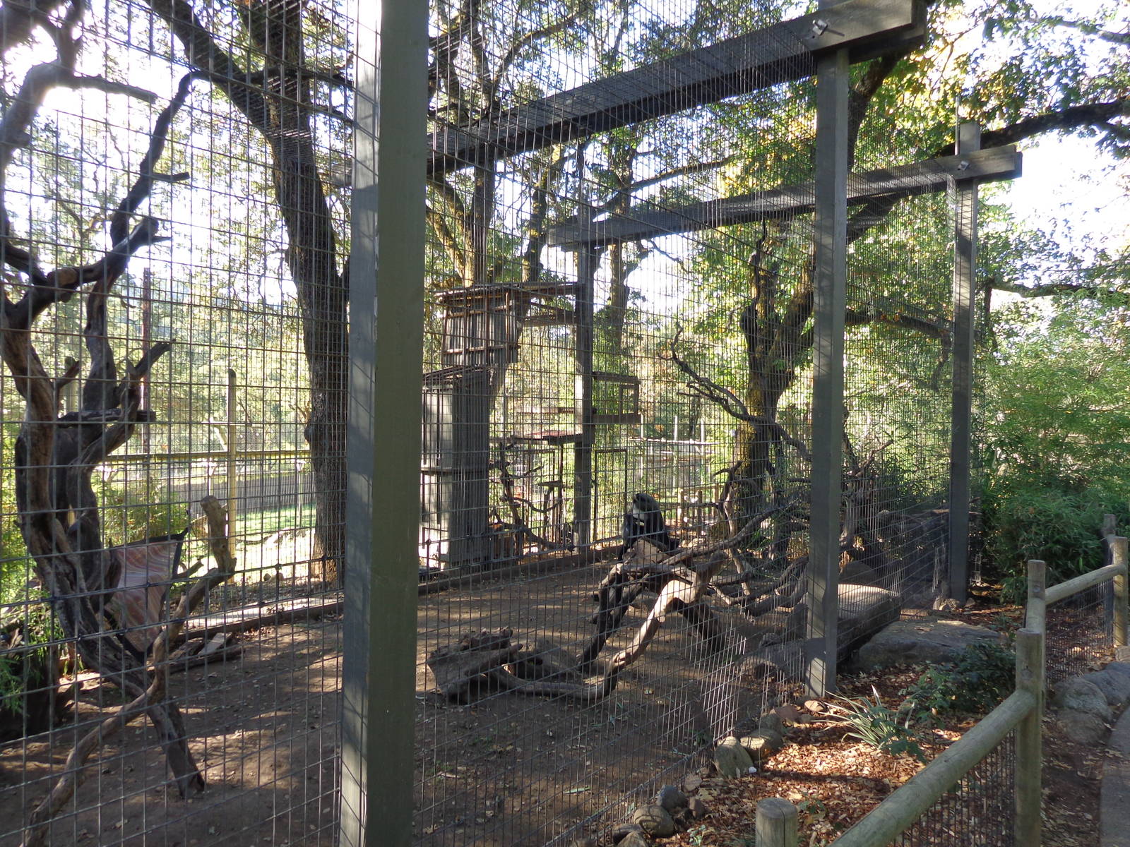 De Brazzas Monkey Exhibit