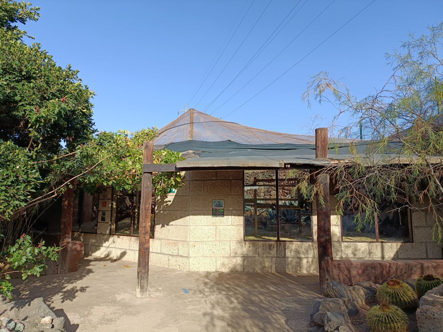 De brazza's monkey exhibit